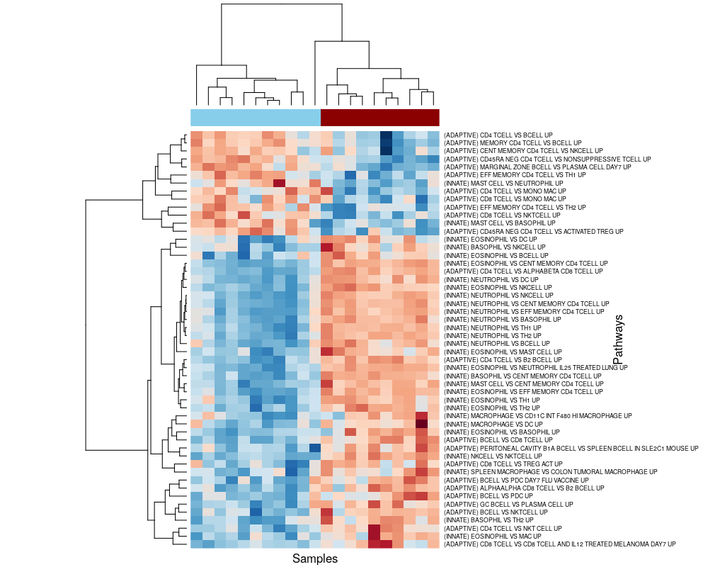 Pathway-level signature of FIR. Heatmap of GSVA enrichment scores from pathways being called DE with 5% FDR between FIR-affected and unaffected neonates.