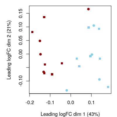 Pathway-level exploration. Multidimensional scaling (MDS) plot at pathway level. Red corresponds to `FIR=yes` and blue to `FIR=no`, while circles and squares correspond, respectively, to female and male neonates.